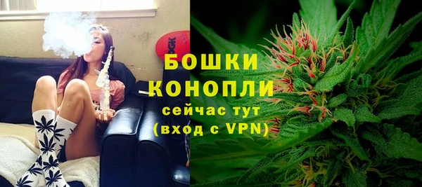 молекула духа Богородск