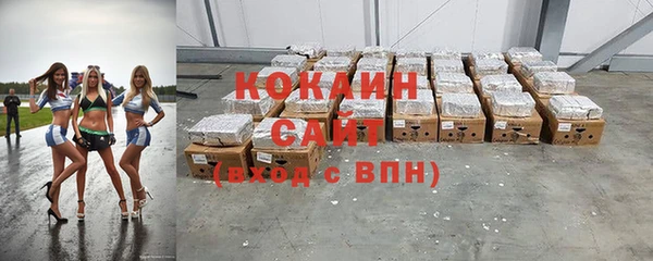стафф Богданович