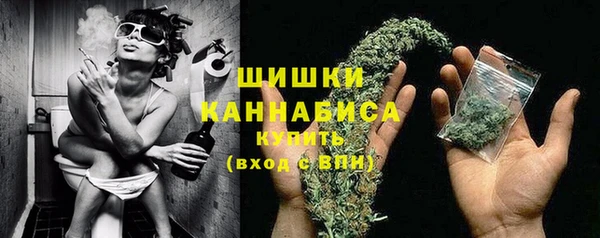 молекула духа Богородск