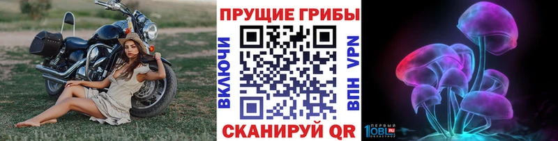 Галлюциногенные грибы Magic Shrooms Харовск