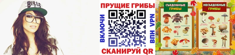 площадка телеграм  закладки  Харовск  Галлюциногенные грибы Psilocybe 